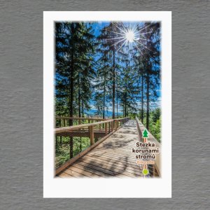 Stezka korunami stromů - Krkonoše - magnet C6