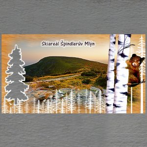 Špindlerův Mlýn - Skiareál - bříza - medvěd - strom prořez - motiv stromy