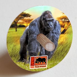 SAFARI PARK  Dvůr Králové - Gorila - káča