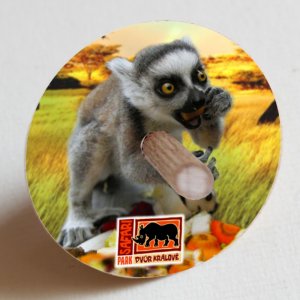 SAFARI PARK  Dvůr Králové - Lemur - káča
