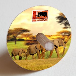 SAFARI PARK  Dvůr Králové - Slon - káča