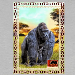 SAFARI PARK  Dvůr Králové - Gorila - pohled C6