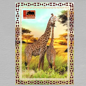 SAFARI PARK  Dvůr Králové - Žirafa - pohled C6