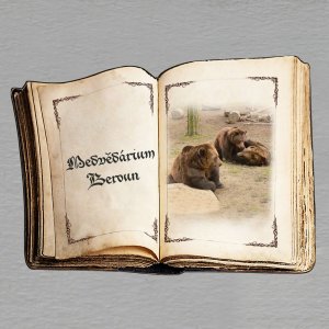 Medvědárium - magnet kniha