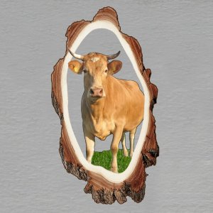 Kráva - magnet kůra prořez