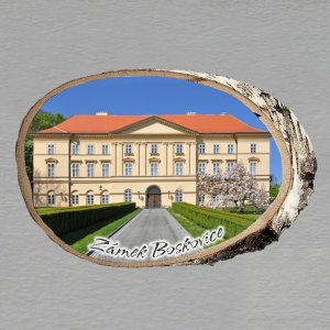Boskovice - zámek - magnet bříza