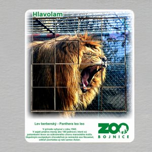 ZOO Bojnice - Lev berberský - hlavolam 16 dílků