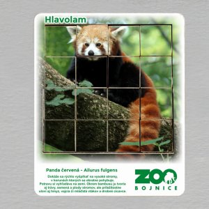 ZOO Bojnice - Panda červená - hlavolam 16 dílků