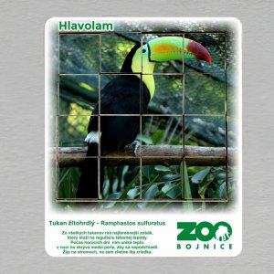 ZOO Bojnice - Tukan žltohrdlý  - hlavolam 16 dílků