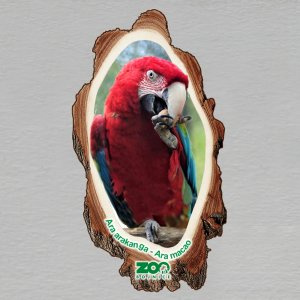 ZOO Bojnice - Ara - magnet kůra dvojitý