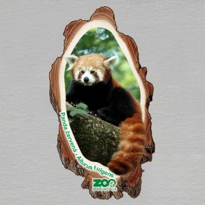 ZOO Bojnice - Panda - magnet kůra dvojitý