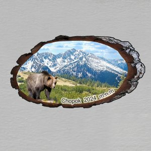 Chopok s medvědem - magnet kůra ovál