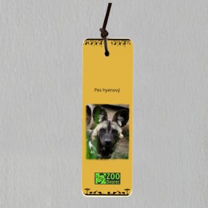 ZOO Dvorec - Pes hyenový - záložka