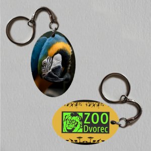 ZOO Dvorec - Papoušek - logo - klíčenka ovál
