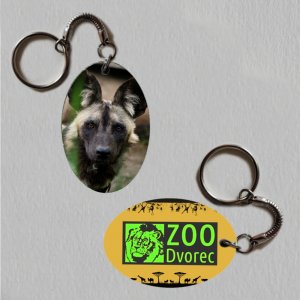 ZOO Dvorec - Pes hyenový - logo - klíčenka ovál