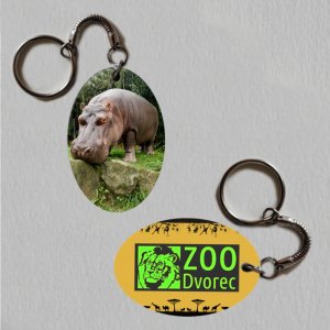 ZOO Dvorec - Hroch - logo - klíčenka ovál