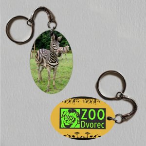 ZOO Dvorec - Zebra - logo - klíčenka ovál