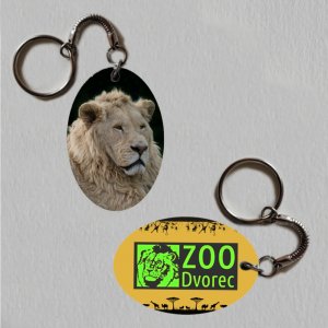 ZOO Dvorec - Lev - logo - klíčenka ovál