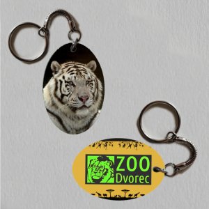 ZOO Dvorec - Tygr indický - logo - klíčenka ovál
