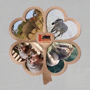 Dvůr Králové n/Labem - magnet čtyřlístek 1