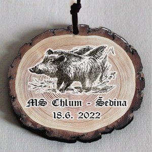 MS Chlum - Šedina - medaile s kůží