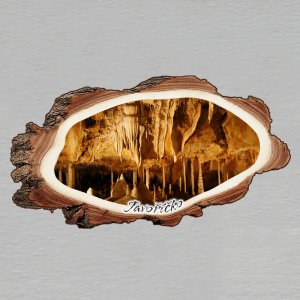 Javoříčko - magnet kůra