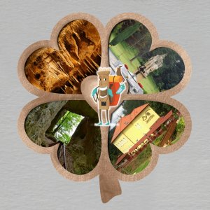 Javoříčko - magnet čtyřlístek