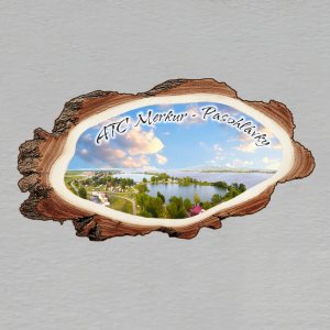 Merkur - magnet kůra