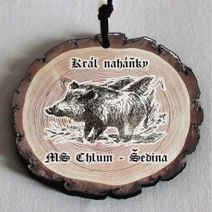Král naháňky - MS Chlum - Šedina - medaile