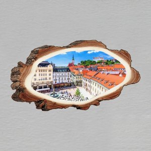 Bratislava - Hrad - magnet - kůra