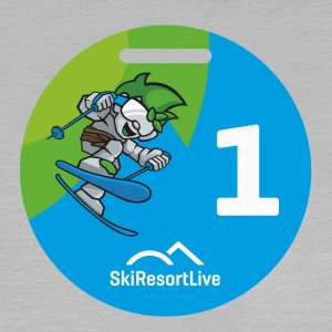 SKI Resort - medaile 1. místo - oboustranná