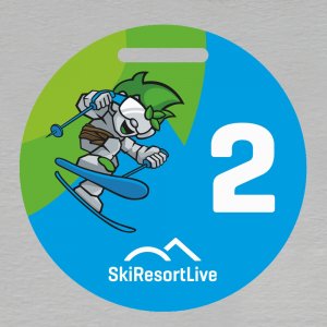 SKI Resort - medaile 2. místo - oboustranná