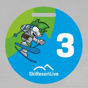 SKI Resort - medaile 3. místo - oboustranná