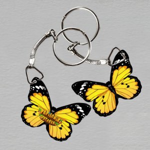 Papilonia Ostrava - motýl žlutý - klíčenka