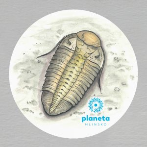 Planeta Hlinsko - Trilobit magnet kulatý 6 cm