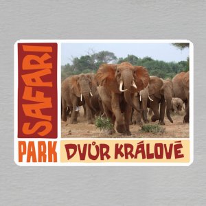 Safari park - Dvůr Králové n/Labem - Sloni - magnet obdélník