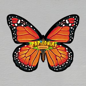 Papilonia Budapešť - motýl oranžový - magnet ořez masiv