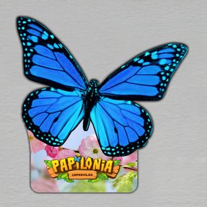 Papilonia Budapešť - motýl modrý - magnet dvojitý