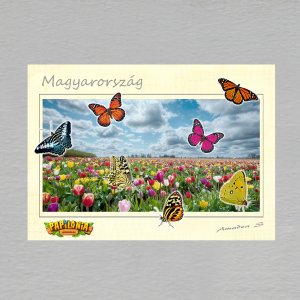 Papilonia Budapešť - pohled C6