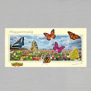 Papilonia Budapešť - pohled DL