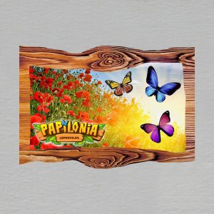 Papilonia Budapešť - magnet prkna C6