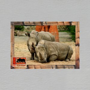 Safari Park Dvůr Králové - nosorožec - magnet C6 dvojitý