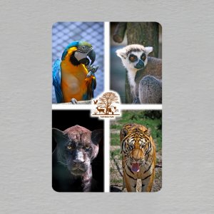 Panthera park - magnet obdélník velký