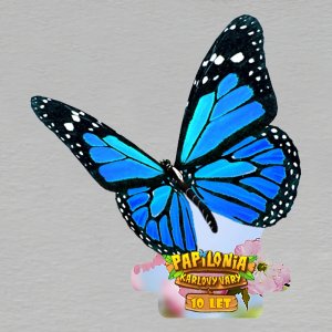 Motýlí dům Diana - modrý motýl 10 let - magnet dvojitý ořez