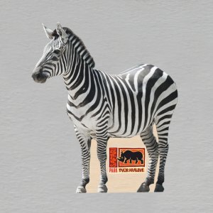Safari Park Dvůr Králové - zebra - magnet mini ořez masiv