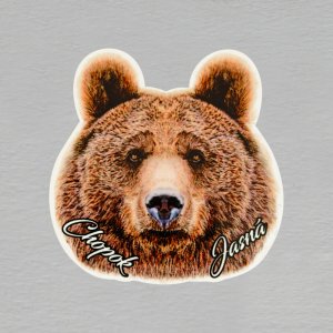 Chopok - medvěd - magnet ořez masiv