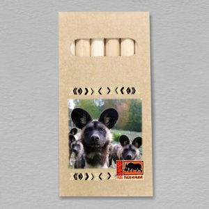 Safari Park Dvůr Králové - hyena - pastelky