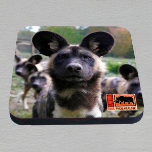 Safari Park Dvůr Králové - pes hyenový - podtácek hranatý laser