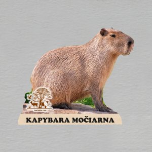 Panthera park - kapybara - magnet ořez masiv