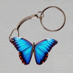 Zahrada Flora - modrý motýl - klíčenka
